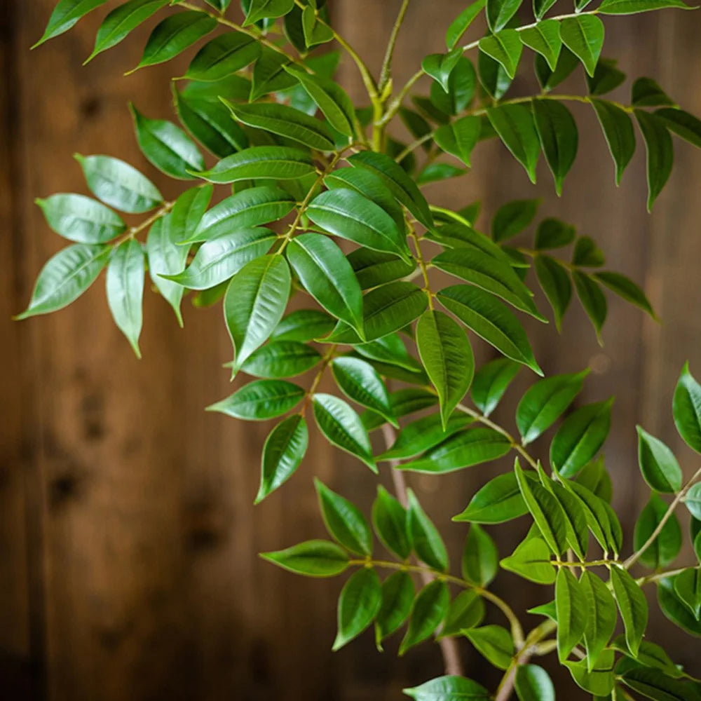 Large Artificial Ficus Tree